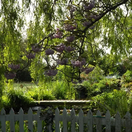 Willow Cottage Bognor Regis Exterior photo