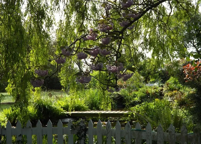 Willow Cottage